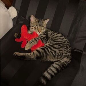 Meet your Posher, Stasia